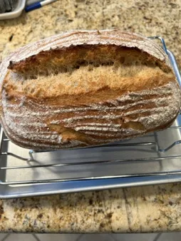 Dough Oven Adventures: How Different Ovens Bake Your Bread and Cookies