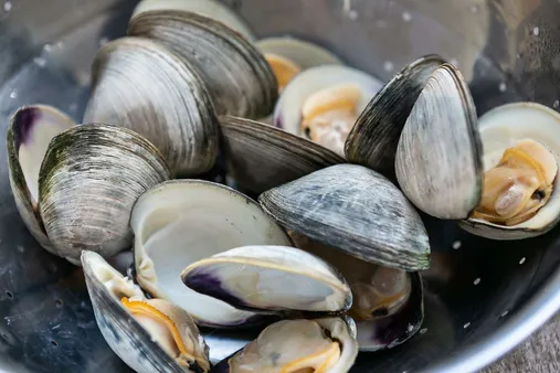 Keeping Clams Alive: Inspection and Cleaning Tips