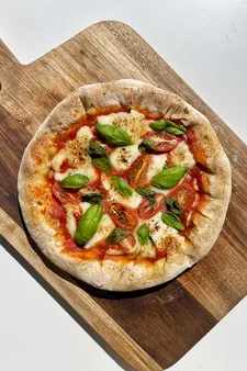 Pizza Oven Types and Their Temperature Ranges