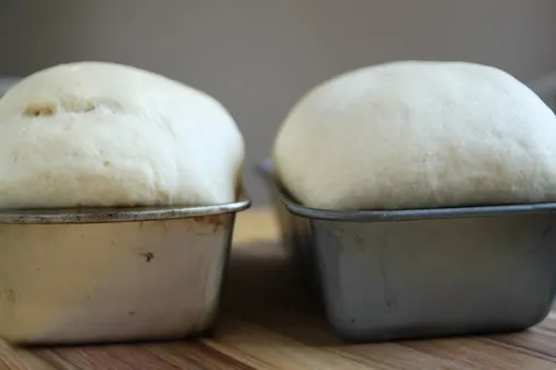 Unlock The Magic Of Dough Oven: Perfect Proofing Every Time